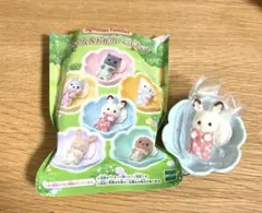 赤ちゃん&お花のベッドセット　フォーナ　ショコラウサギの小さい赤ちゃん