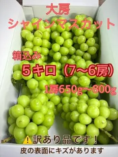 訳ありシャインマスカット 山梨産 6〜7房分 箱込み約4.5〜5キロ 送料