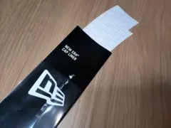 Item thumbnail for item 88112e41-08e3-49b5-9a6e-1a0c3f87ad10