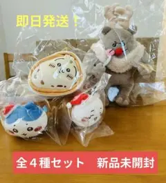 植木 徹様 リクエスト 2点 まとめ商品