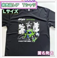 非売品レアグッズ！Kawasaki Ninja zx-10R Tシャツ　Lのサムネイル