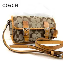 Item thumbnail for item 5ac4cc2e-347a-4953-a967-965847618d8a