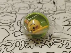 チョコサプ　うさぎ