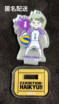 2025年最新】ハイキュー アクリルmini レアの人気アイテム