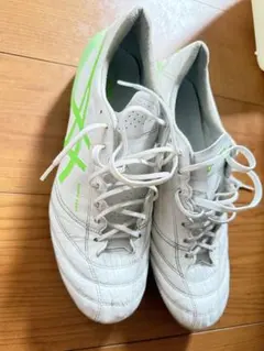 アシックス DS LIGHT X-FLY 27.5cm