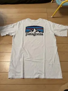 パタゴニア　M ティシャツ