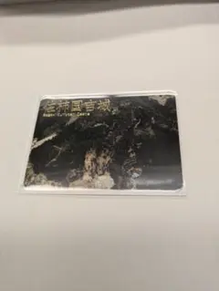 ノラネコ様 リクエスト 2点 まとめ商品