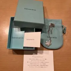 2025年最新】ティファニー マラソン 2015の人気アイテム - メルカリ
