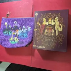 ヴィランズポーチ　箱　２個セット　コージーコーナー