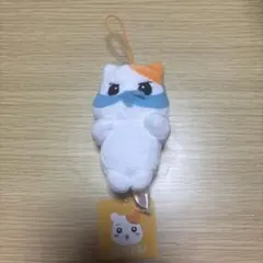 2026年最新】エビちゅ ぬいぐるみの人気アイテム - メルカリ