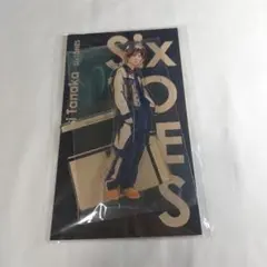 アクリルスタンド　アクスタFest　田中樹　SixTONES