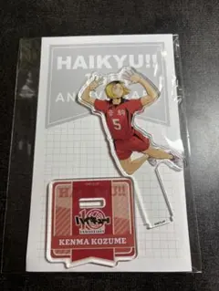 ハイキュー‼︎ 10th Anniversary アクスタ　孤爪研磨