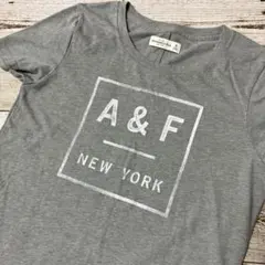 アバクロンビーアンドフィッチ　Tシャツ　Mサイズ