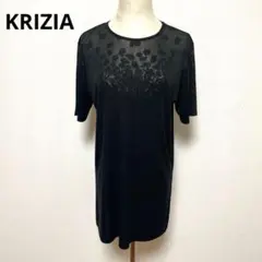 KRIZIA クリツィア 黒の花柄 透け感 半袖 チュニック 40 伸縮性ありのサムネイル