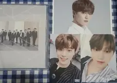 SEVENTEEN★「WE MAKE YOU」通常盤【ディノ】セット