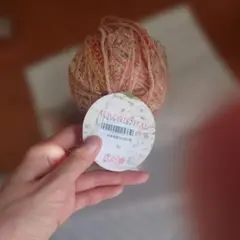 Feza Yarns アルプオリエンタル 21