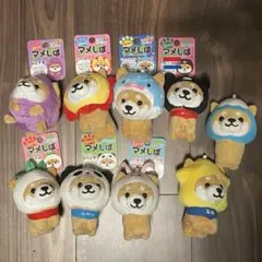 可愛い嘘のカワウソ ぬいぐるみ まとめ クラゲ 干支 グッズ 限定