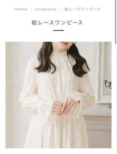 amr. 総レースワンピース お買い得