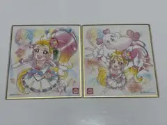 トロピカルージュプリキュア キュアサマー 色紙 2枚セット
