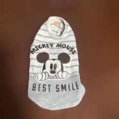 Item thumbnail for item 97ad457a-b0e9-434b-b44f-a82f09c534d1