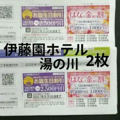伊藤園ホテル　湯の川観光ホテル 宿泊割引券 2枚セットのサムネイル