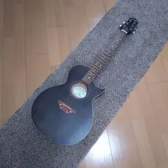 GrassRoots G-AC-45 レスポールシェイプ アコギ - メルカリ