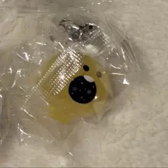 TRUZ めじるしアクセサリー PODONG ポドン ジョンファン