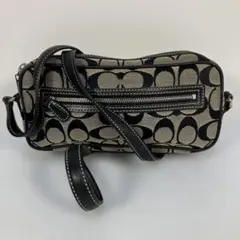 Item thumbnail for item 78176b31-da33-4459-a8b4-dca12a50f845