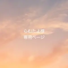 らむたよ様専用ページ