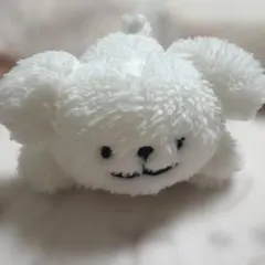 Maltese マルチーズ ぬいぐるみ（ねそべり）Mサイズ モルチーズ