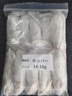 傷あり）冷凍マウスホッパー50匹 - メルカリ