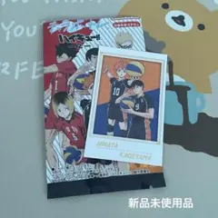 ハイキュー キャラポトレ2日向翔陽 影山飛雄箔押し