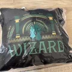 ウィキッド Wicked 一番くじ B賞 クッション エルファバ グリンダのサムネイル