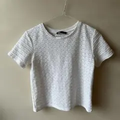 ZARA 透かし編み ホワイト Tシャツ S