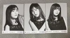 乃木坂46 生写真　生田絵梨花　モノクロームポートレイト　コンプ