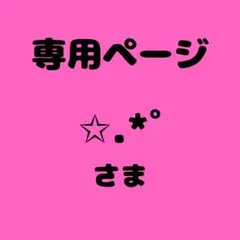 ✩.*˚様 専用ページ　6セット