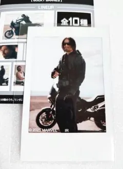 【コミコン限定】フォトカードコレクション バッキー・バーンズ 10種コンプ コミコン限定】フォトカードコレクション バッキー・バーンズ 10種