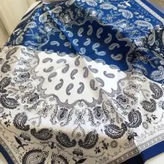 Item thumbnail for item 8de949bb-42ba-4ce3-8cf7-38f423f042c4