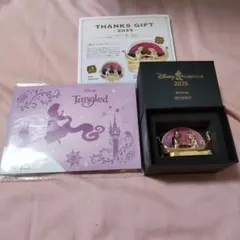 ラプンツェル ペーパーウェイト　ピンバッジセット