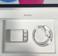 新品未使用★Apple ケーブル タイプC アダプタ 充電器