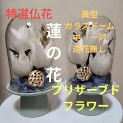 特選仏花 プリザーブドフラワ 胡蝶蘭 百合 ガラスドーム 特大 天然木