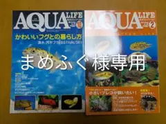 まめふぐ様専用　アクアライフ　ふぐ特集