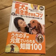 Item thumbnail for item 3239d337-aac8-41e9-8fe9-af2778b99547