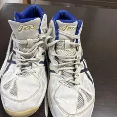 asics TBF330 バスケットボールシューズ 29.0cm