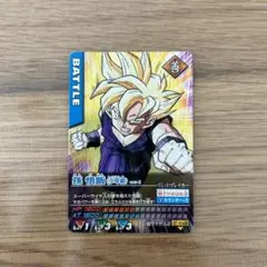 ドラゴンボールデーターカードダス　爆レア　孫悟飯