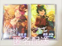 Valkyrie ポートレート