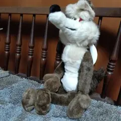 SEKIGUCHIワイリー・コヨーテ