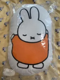 Item thumbnail for item c54809b8-3864-4c77-b815-b87acbbe1e4b