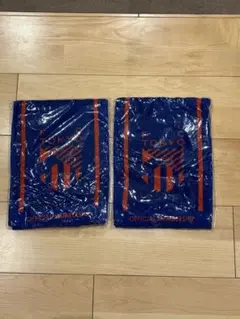 Item thumbnail for item 56da406c-3d75-4eba-bcd5-55b1d1a3078f