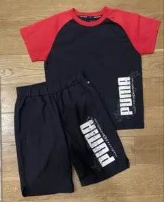 PUMA セットアップ